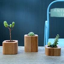 Nordic style home decoration fleshy flowerpot black walnut solid wood floral ins mini table pendants pen holder candlestick