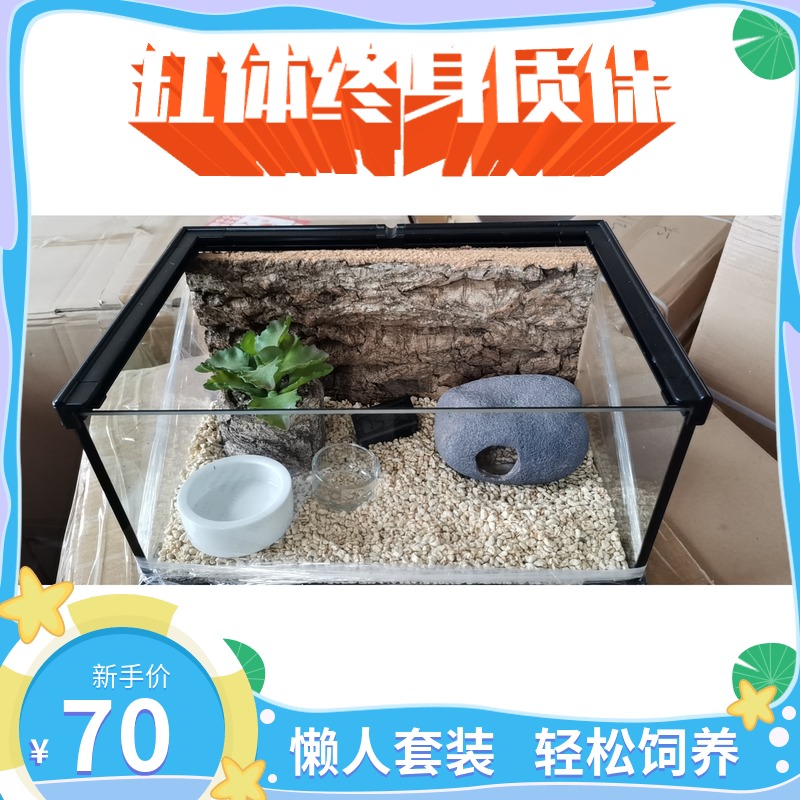 Transparent climbing pet glass breeding box leopard print palace lizard pet glass cylinder breathable mane lion lizard lazy man set
