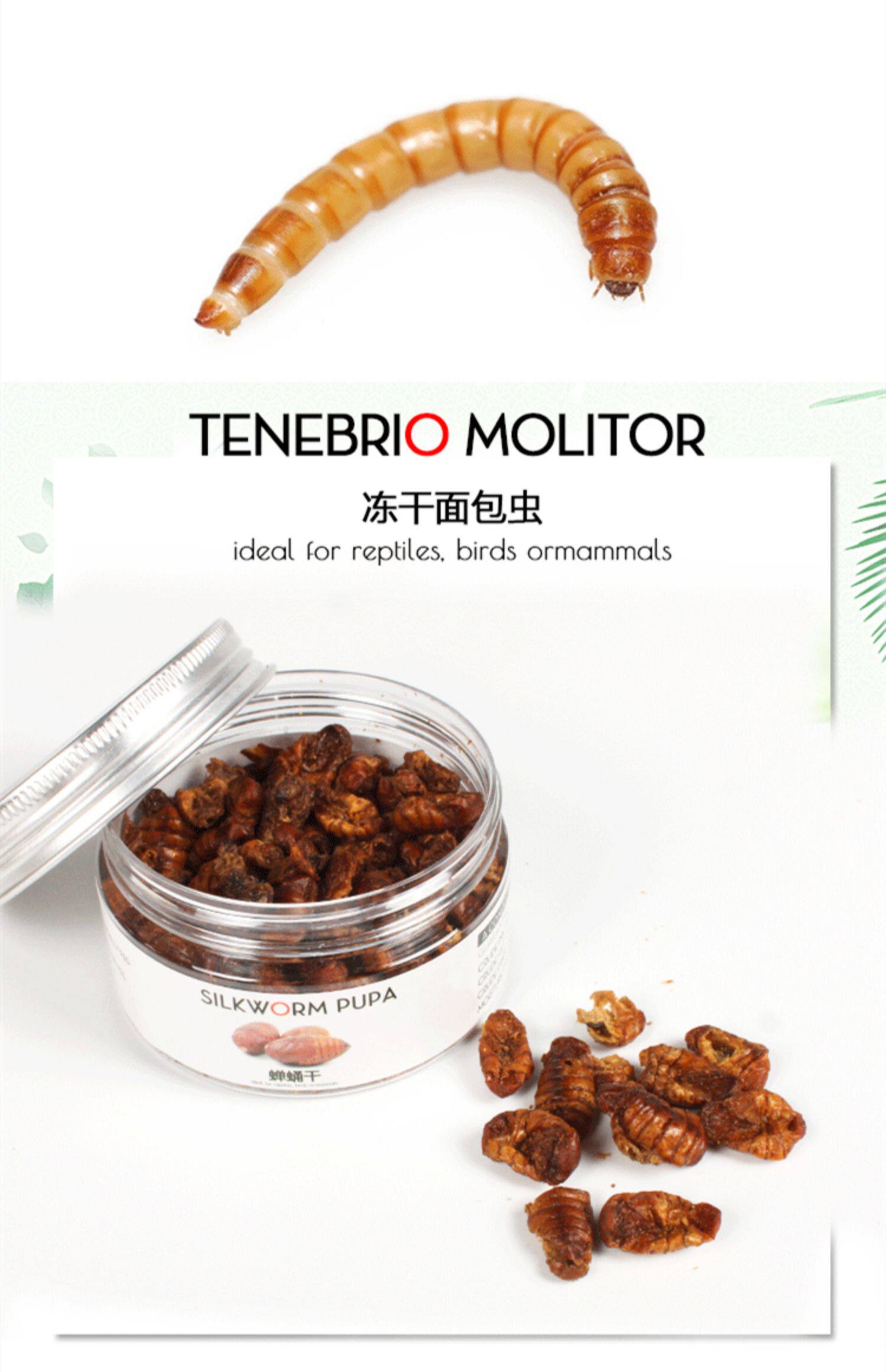 Насекомое питания рептилий/мин 保鲜冻干面包虫蟋蟀爬虫守宫蜥蜴仓鼠龙鱼刺猬食物乌龟非活体饲料