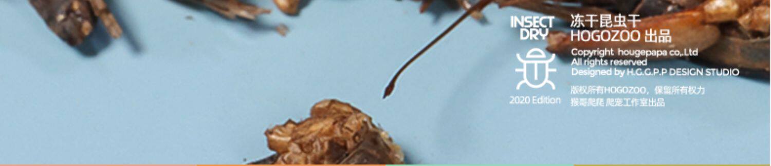 Насекомое питания рептилий/мин 保鲜冻干面包虫蟋蟀爬虫守宫蜥蜴仓鼠龙鱼刺猬食物乌龟非活体饲料