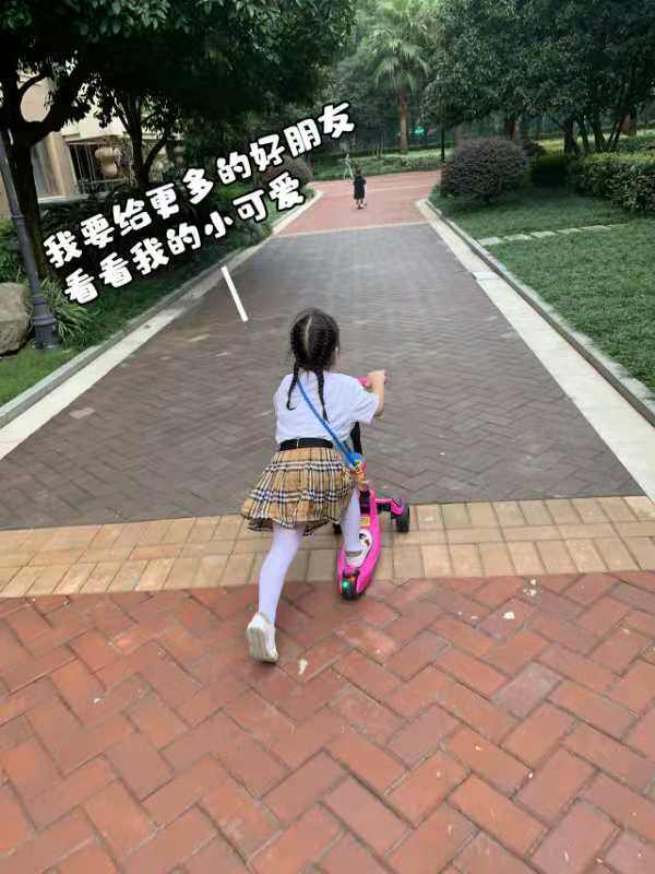 Аксессуары для рептилии None