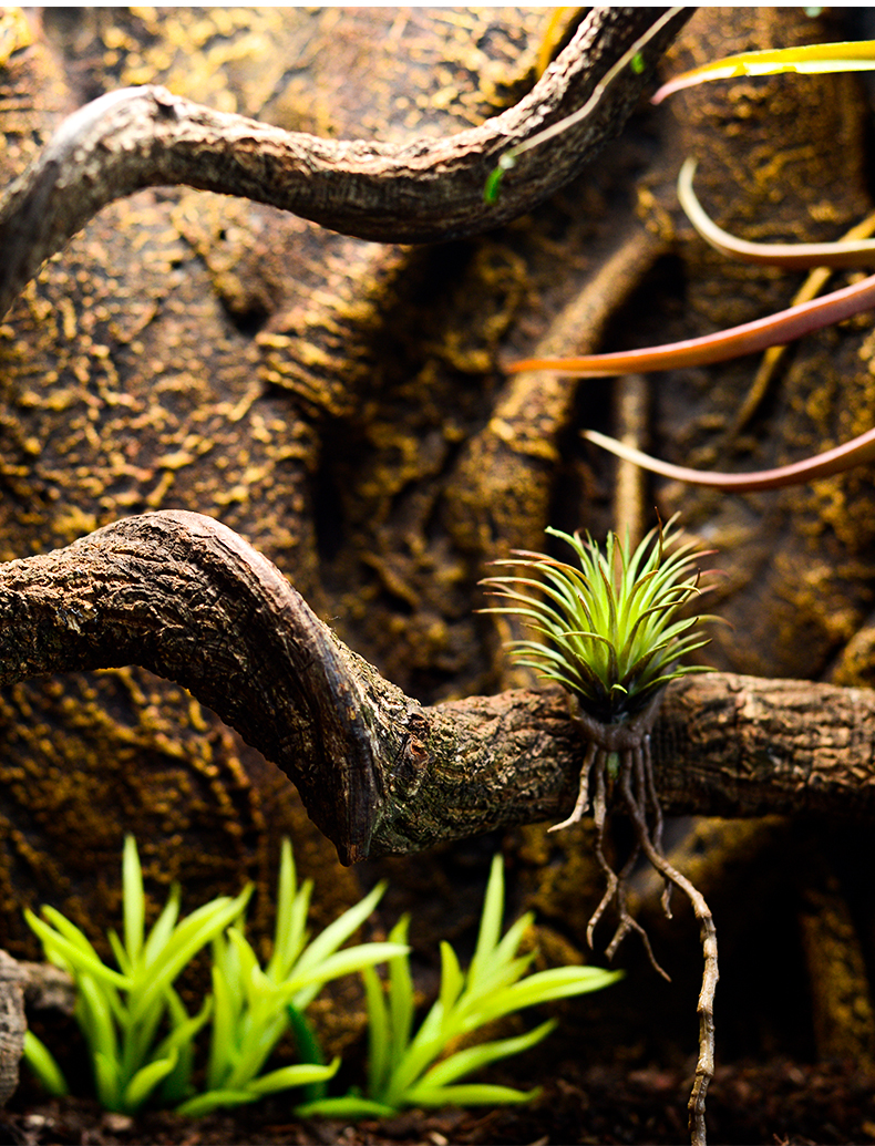 REPTILE climbing vine RATTAN BRANCH LANDSCAPE decoration BAO WEN PALACE lizard LANDSCAPE plant GLASS BOX DECORATION