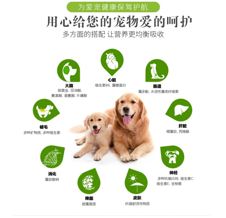 Remy cao thú cưng ba thức ăn cho chó phổ thông tươi đủ 10kg 20 kg Teddy Golden Mao Demu giống chó thức ăn cho chó - Chó Staples thức ăn bổ máu cho chó