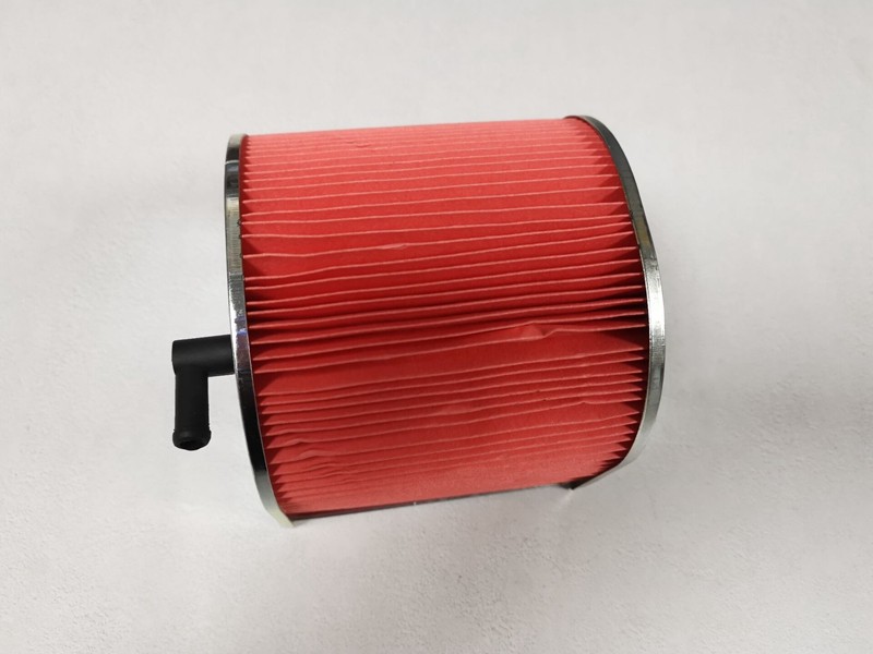 Apply to the Dark Eagle DD150E DD250E Golden Prince CA250 Motorcycle air filter
