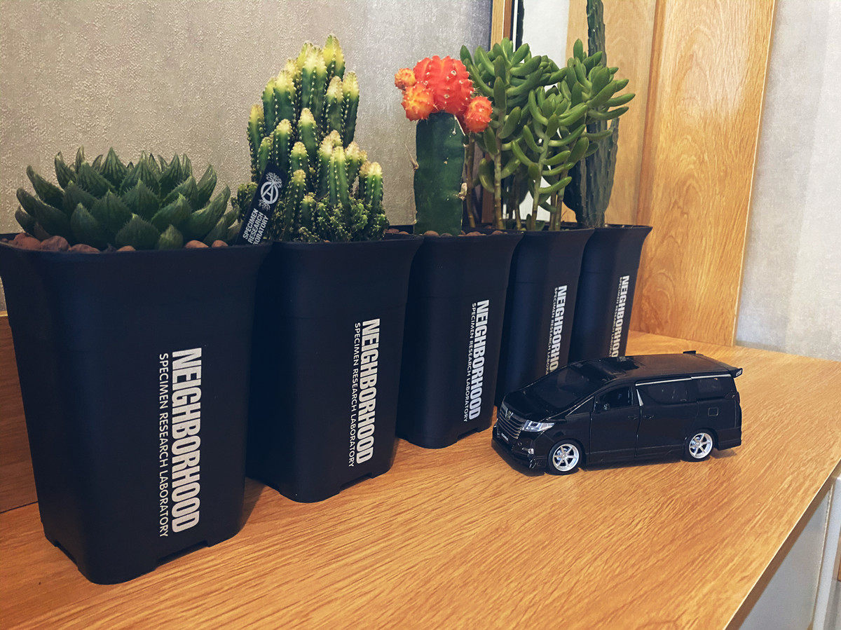 NBHD SRL Plastic Lifestyle Sub - Lifestyle Plant Container Series multi - flesh flower vase New to white