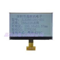 256128G-931256*128 high dot matrix COG LCD screen LCD module black and white large size