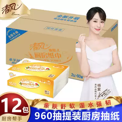 Breeze removable kitchen paper towel 2 layers 80 pumping 12 packs of cooking fish raw absorbent and oil-absorbing food grade embossed paper towel