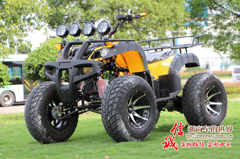 Lớn và nhỏ bull bãi biển trục ổ đĩa bốn bánh off-road xe máy Zongshen làm mát bằng nước điện sa mạc xe máy snowmobile