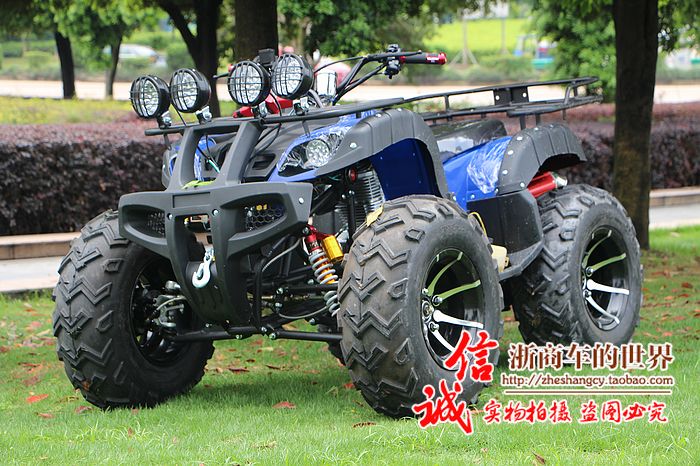 Lớn và nhỏ bull bãi biển trục ổ đĩa bốn bánh off-road xe máy Zongshen làm mát bằng nước điện sa mạc xe máy snowmobile