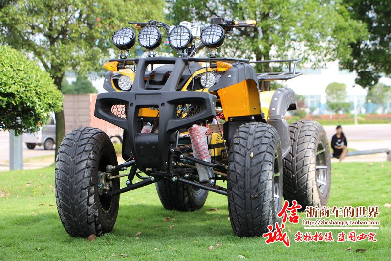 Lớn và nhỏ bull bãi biển trục ổ đĩa bốn bánh off-road xe máy Zongshen làm mát bằng nước điện sa mạc xe máy snowmobile