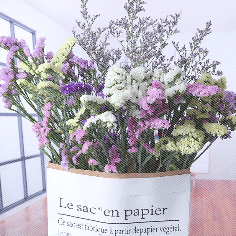 New Forget-me-not Dried Flower Rose Dried Flower Embossing Dried Flower Dried Flower True Flower Dried Flower diy Dried Flower Yong