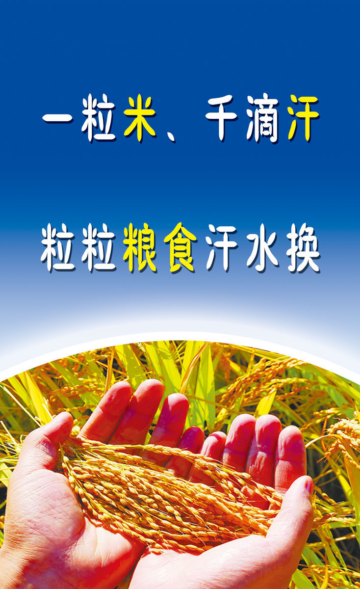 629 painting poster exhibition board material 961 restaurant slogan cherishing grain-Taobao