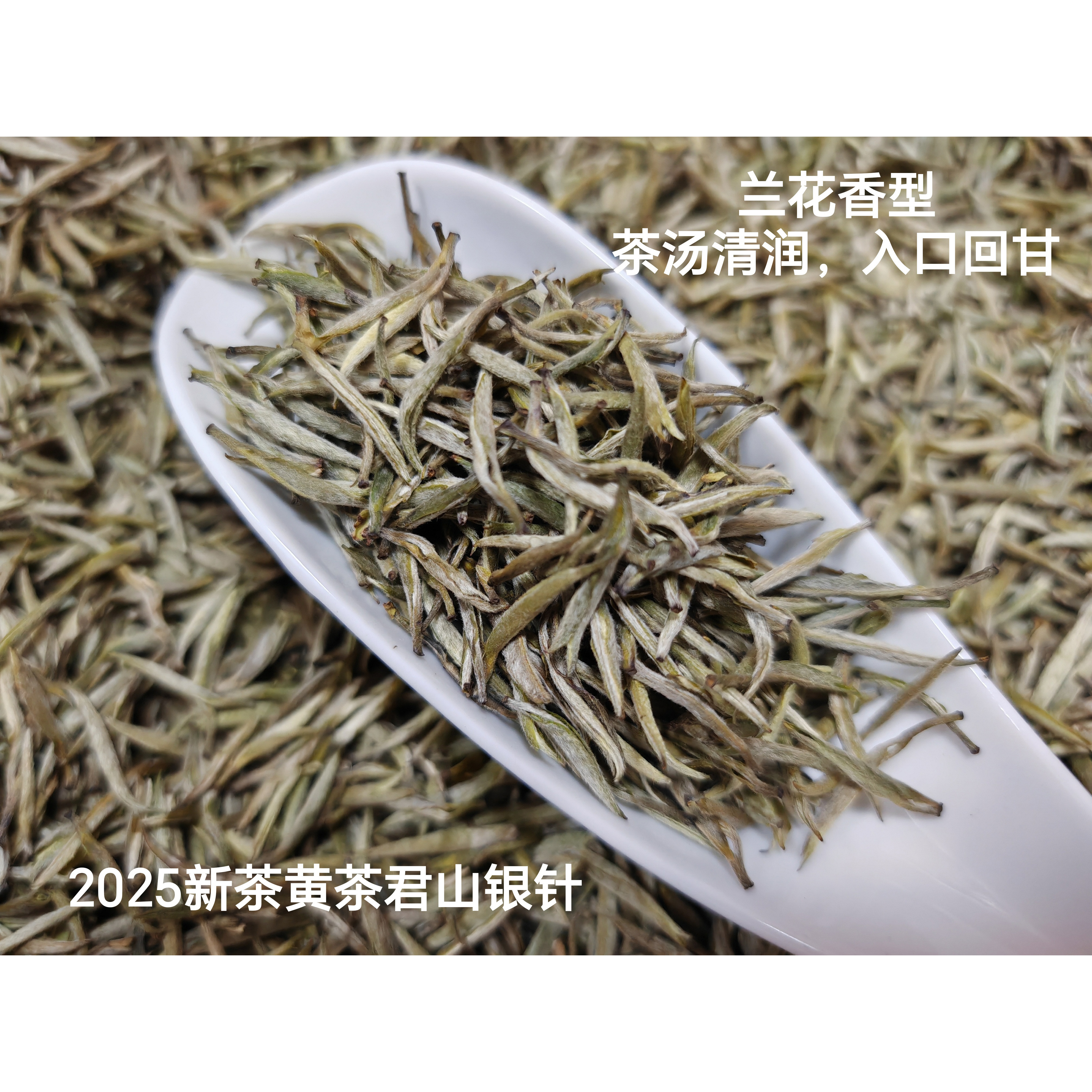 远山牌君山银针特级2025年春茶明前茶：品味湖南岳阳的黄茶传奇