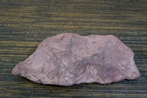 No. 2559 Wood grain stone on the surface of Naomao Lake Hami Xinjiang