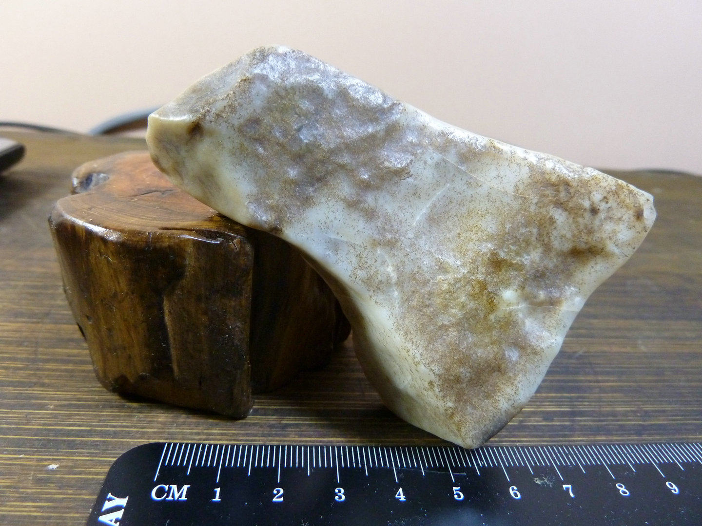 A small animal of the surface protein stone of the Xinjiang Robubo
