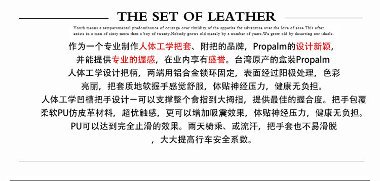 Poignées de vélo PROPALM - Ref 2354676 Image 37