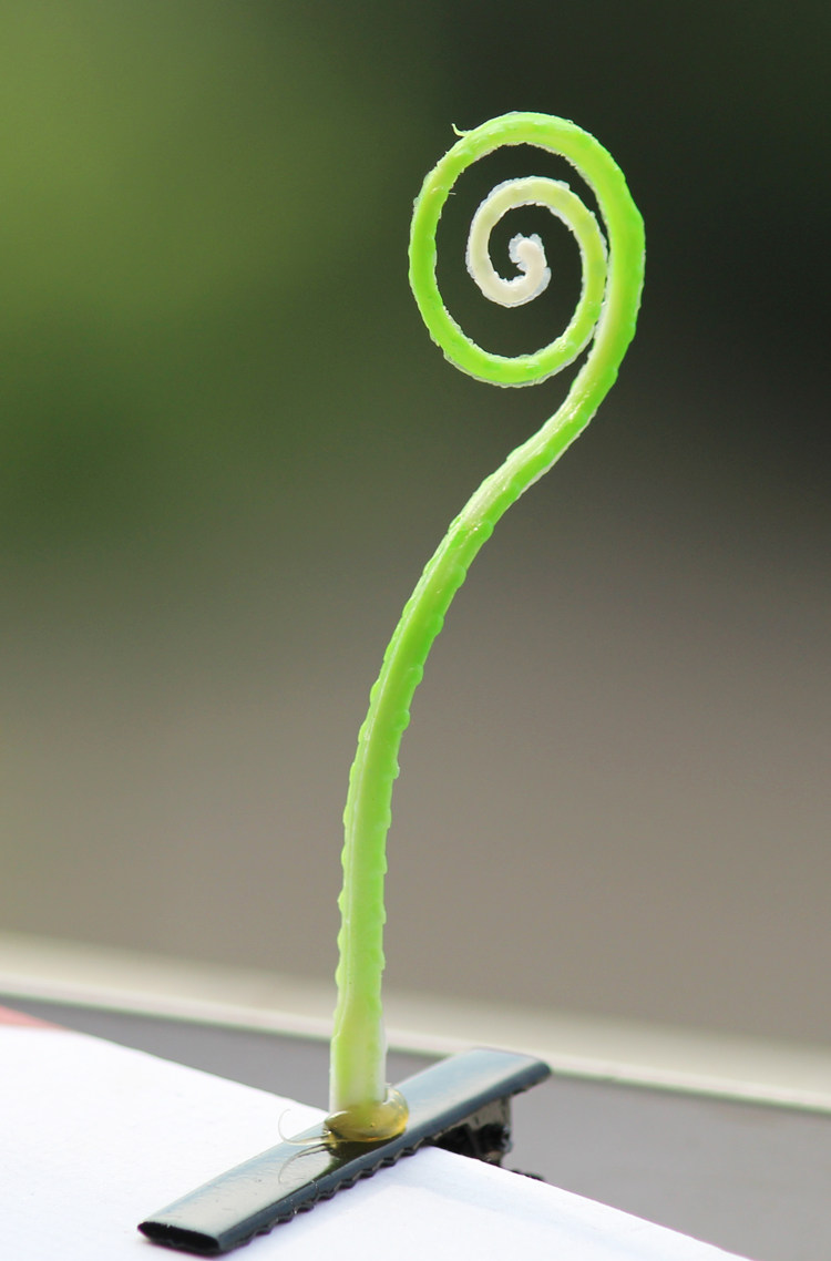 Accessoire coiffure - Ref 1203411 Image 22