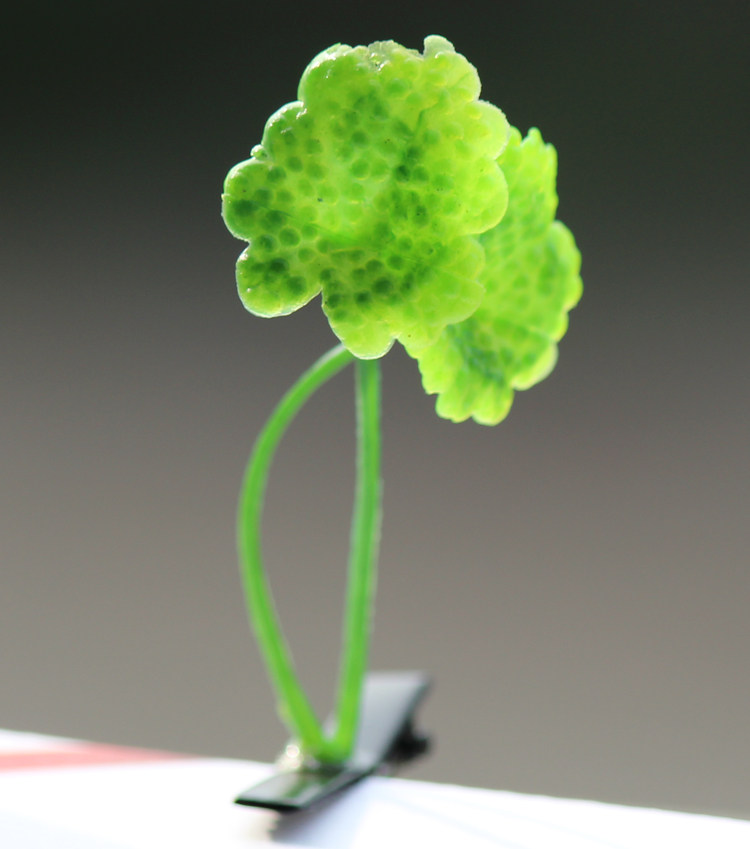 Accessoire coiffure - Ref 1203411 Image 21