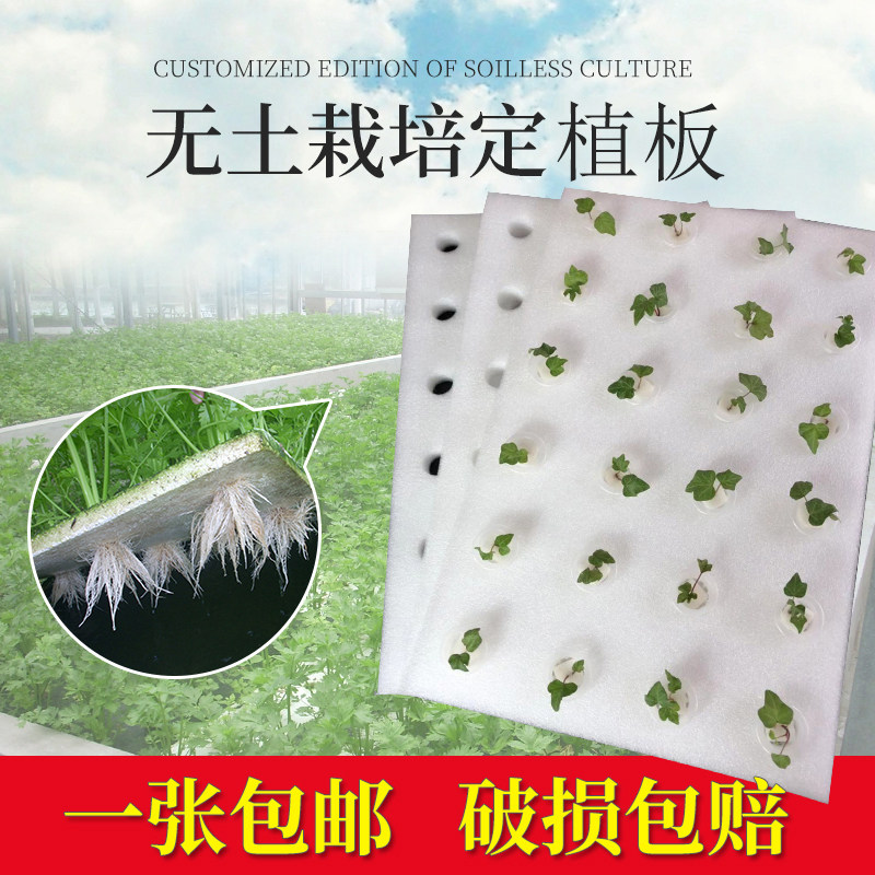 Fish pond floating board water planting vegetables hydroponic vegetable planting board soilless cultivation equipment hydroponic planting board