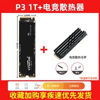 P3 1T+игровой радиатор