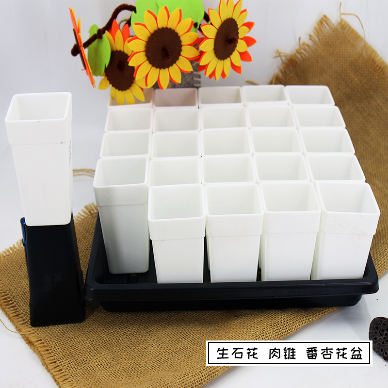 Black and white resin pot meat peanochu pankgo specialized in Nassersoss thick mini-flower basin package