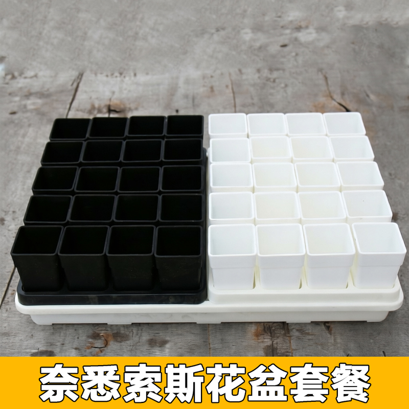 Black and White Resin Square Pot for Lithops and Echeveria, Thick Minimalist Mini Flower Pot Set Black and White Resin Square Pot for Lithops and Echeveria, Thick Minimalist Mini Flower Pot Set