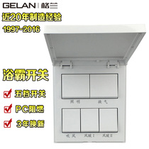 GELAN switch socket bathroom heater switch five-way type 86 waterproof air heating gold tube carbon fiber universal
