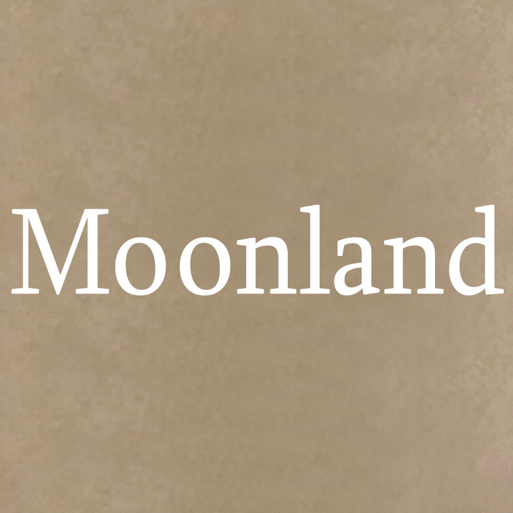 Moonland饰品