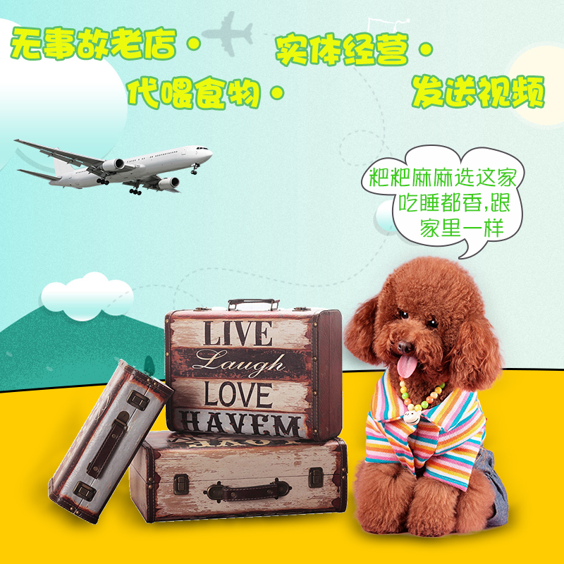 Beijing Guangzhou Chengdu waits until the national pet care charge d' affaires air railway pooch cat cat random transport