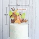 Многослойный аккаунт животных