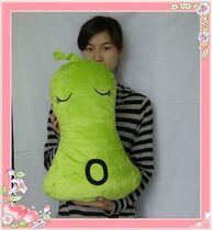 Little Winter melon Winter melon pillow cushion Winter melon PLUSH toy Zilings little winter melon A curtain of dreams Little winter melon