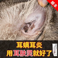 Французские уши ушей Velon Удаляйте ушные собаки с кошачьими ушами.