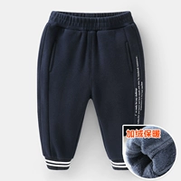 Тибетский синий бархат