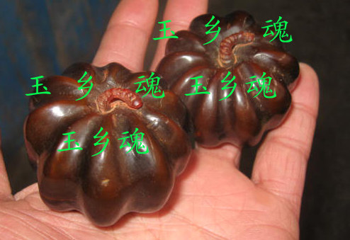 Punch Triple Drill Pao * Natural Horn Pumpkin * Engraving * Collection Jipindu to bring a good life