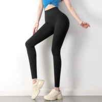 Черный [четыре сезона] укрепление и формирование