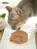 Постепенно Канада New Cuis Staleed Cat Cat Private Chare Kitchen Exquisite, Soft Valley Nutrition Cat 156G