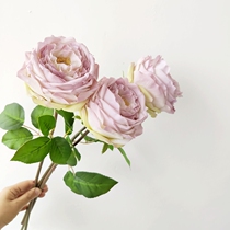 Moisturizing Feel British Rose Milk Oil Color High-quality Home Decoration Living Room Vase Flower Arrangement Effect