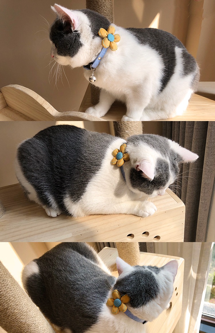 Chenpi nhà handmade mèo cổ áo thú cưng chó chuông Teddy chó nhỏ điều chỉnh vòng cổ hoa - Cat / Dog hàng ngày Neccessities 	bát ăn inox cho chó	
