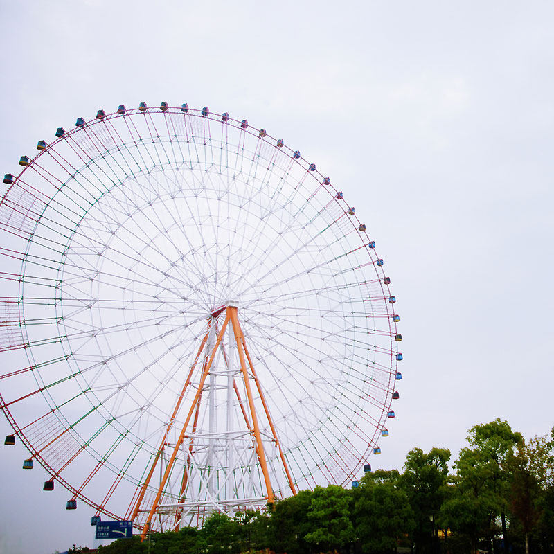 DandeLion dandelion postcard Nanchang Motian Wheel Landmark Attractions Scenic original