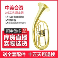 Jazz Langzhizhong Middle Voice Instrument Blig Blid Blind Tips Маленький удерживающий музыкальный инструмент JZBT-310G LACQUER GOLD Три плоских ключевых инструментов