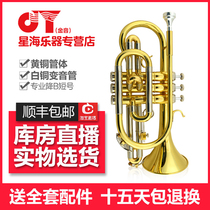 Xinghai Golden Sound Short Musical Instrument JYCO-E100 Small Musical Instrument Painted Gold B Tune Professional Wind Musical Instrument