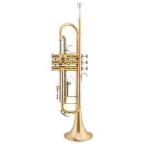 Zinbao trumpet instrument Three Sound Number Descending B Tune Pipe Band Beginner Professional Play Universal JBWTR-12
