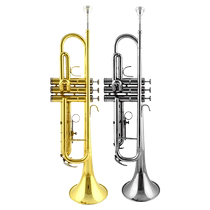 Zinbao Trumpet Musical Instrument Students Beginners Professional Playing Class Children Adults Drop B Tune JBWTR-10