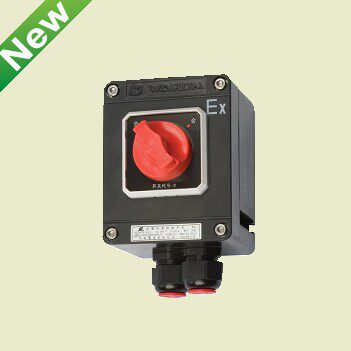 Explosion anti - corrosion switch BZZ8050 - 20