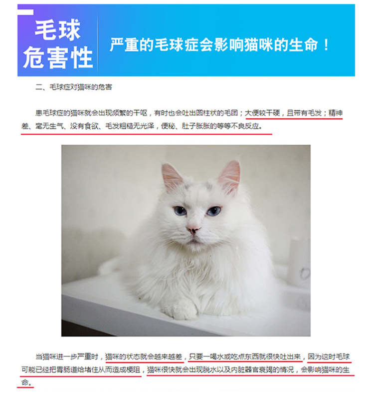 Quark Ocean Fish Thức ăn cho mèo Quark Cat Food 10kg Pet Cat Food Cat Cat Thức ăn cho mèo trưởng thành Thức ăn cho cá Ocean - Cat Staples thức ăn cho mèo con 1 tháng tuổi