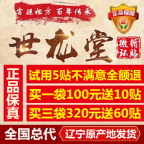 Liaoning Fengtian Shilongtang cold compress paste Shilongtang Microcirculation paste Shilongtang circulation paste