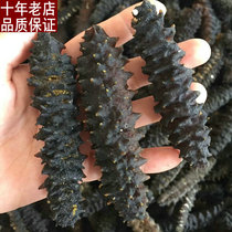 20-30 black spiny thread ginseng Dried sea cucumber Wild 500g dried foot sea cucumber Sea cucumber thorn sea cucumber Deep sea cucumber