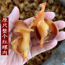 Wild red snail meat sound snail slices dry sound snail dry fresh seafood dry soup seafood 500g original snail meat
