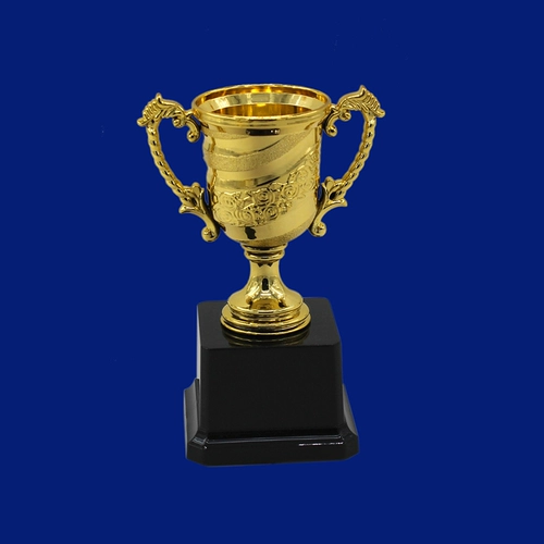 Пластиковая золотая маленькая обучающая индивидуальная награда для школьников для детского сада, делается под заказ, начальная и средняя школа, обучение