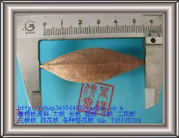 Olive nuclear carving raw material large long core oil core 5 8 long extra core carving knife works with good core seeds